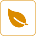 Eco-Friendly Innovation Icon